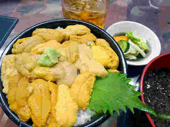 海光房のうに丼