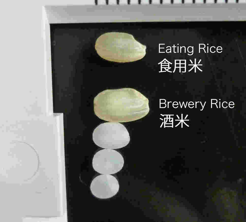 お米
