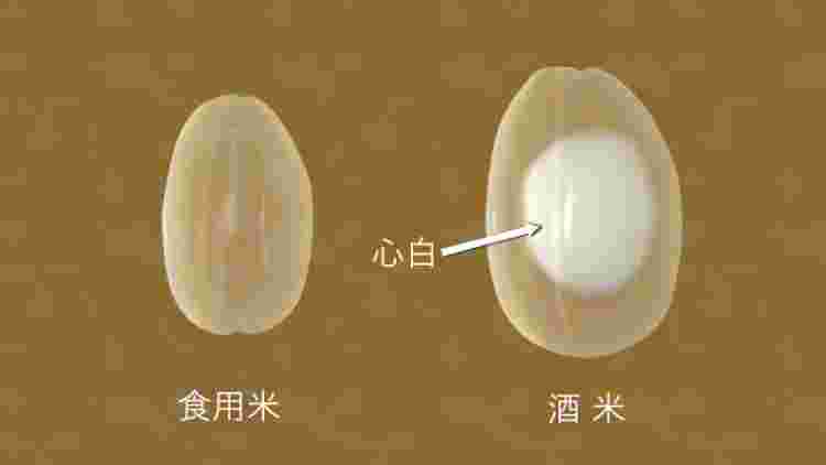 お米