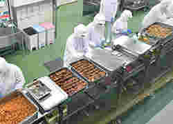 シウマイ製造ライン