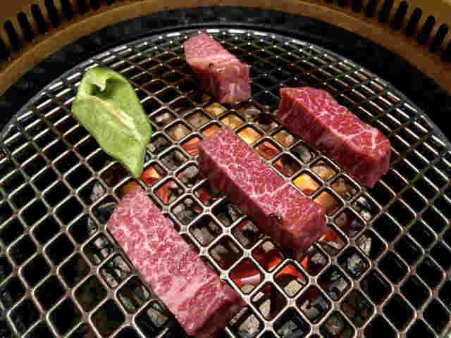 シャトーブリアン芯