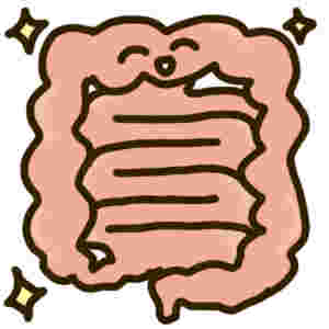 きれいな腸