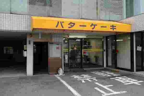 合歓(ねむ)