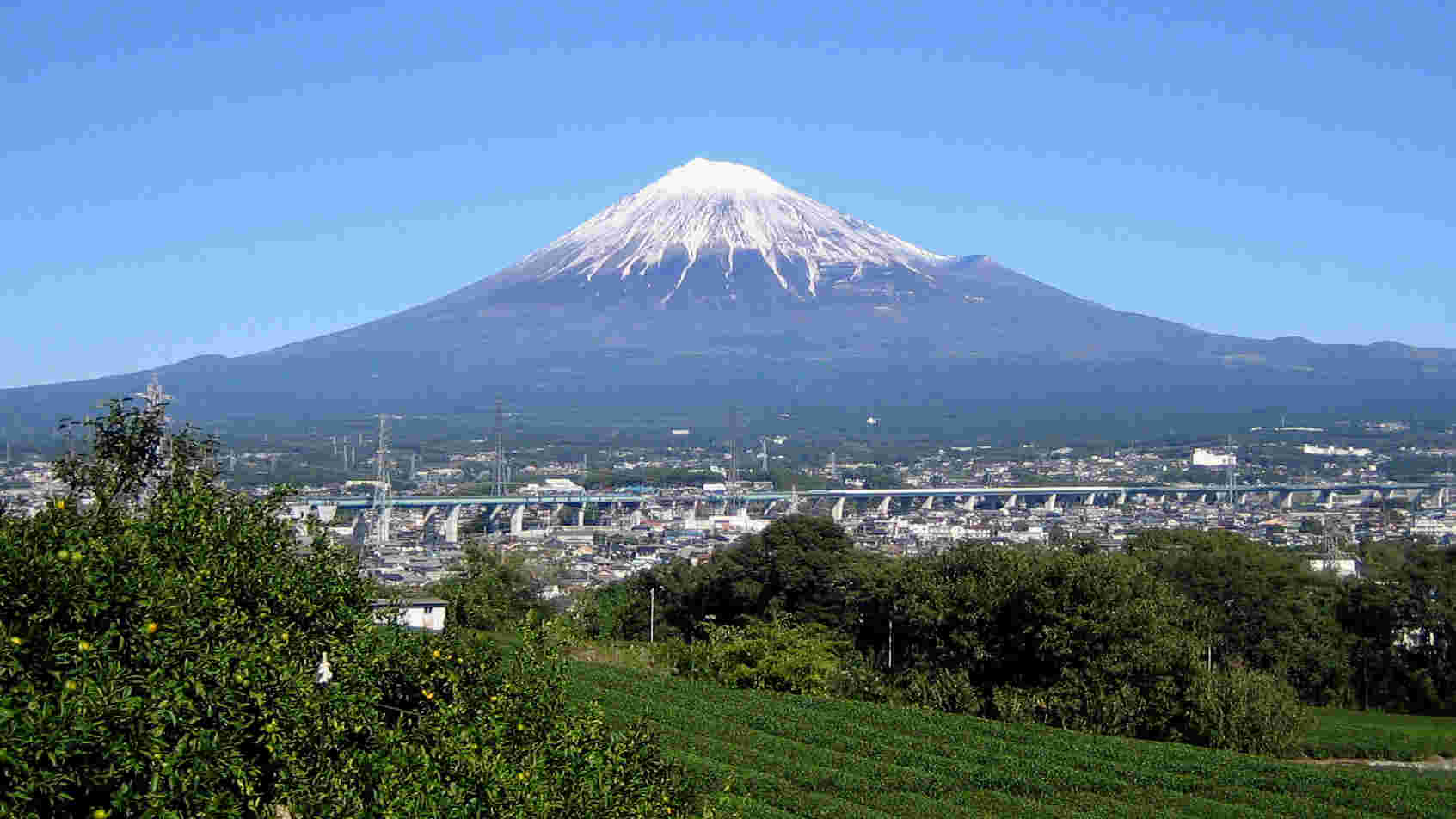 富士山