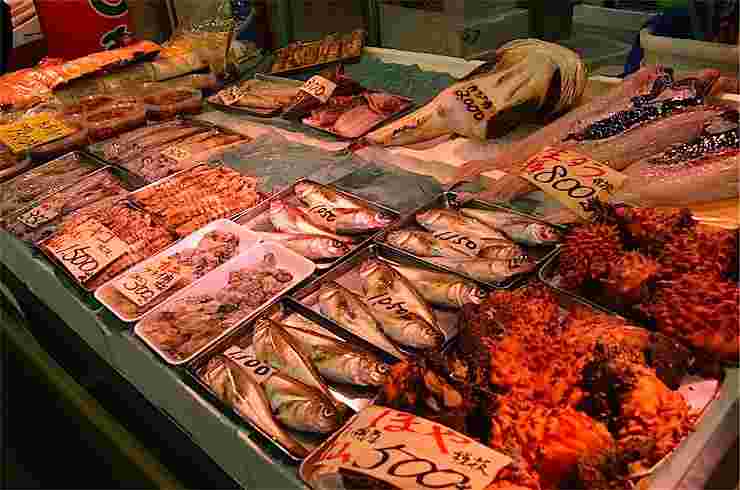 三角市場に並ぶ鮮魚