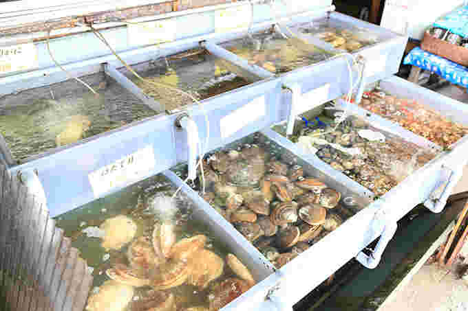 新鮮なホタテやハマグリ、つぶ貝、カニ等が水槽に並べられた画像