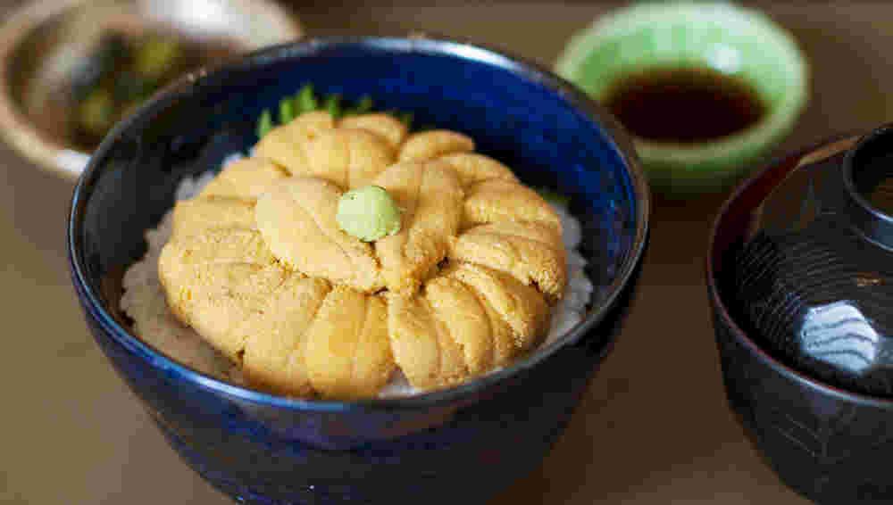 函館うにむらかみのうに丼