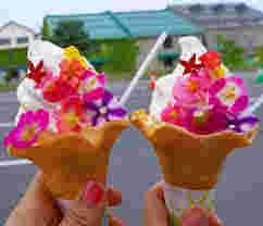 花蜜ソフトクリーム