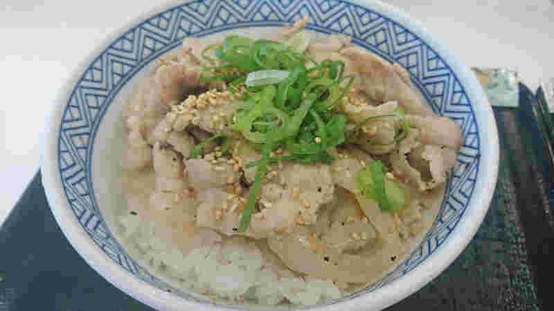 ねぎ塩豚丼画像