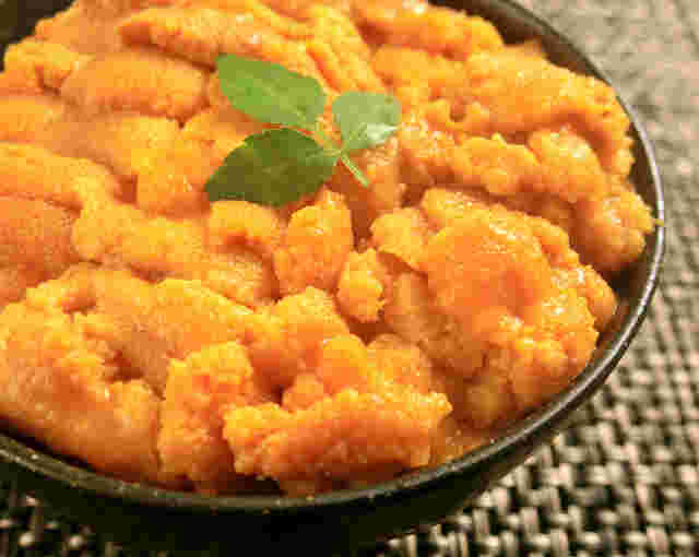 積丹浜料理 第八 太洋丸うに丼