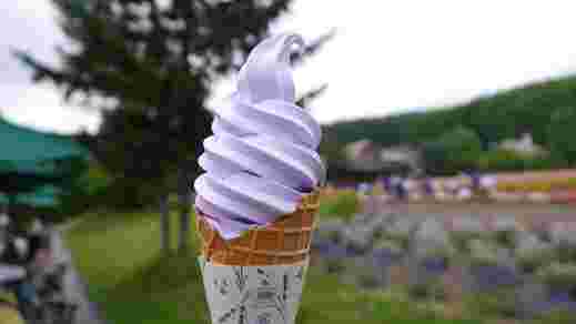 ファーム富田のラベンダーソフトクリーム
