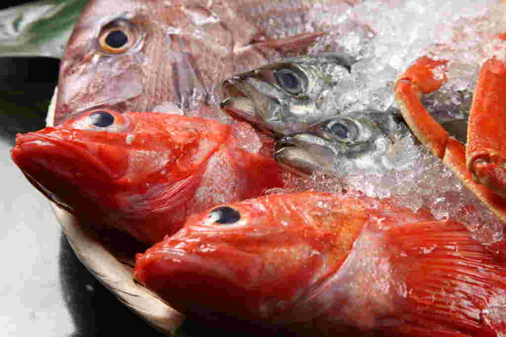 新鮮な魚