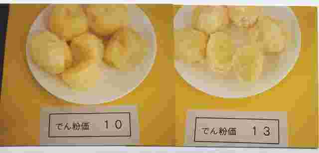 じゃがいもの粘度比較