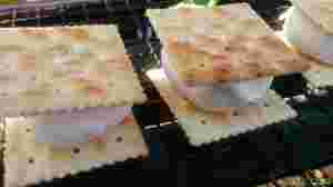マシュマロクラッカー画像