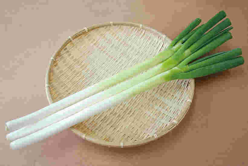 長ネギ