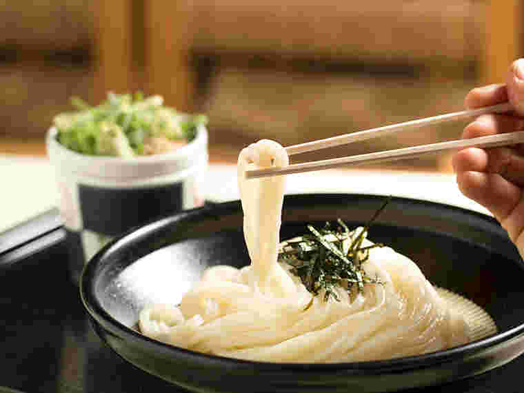 ふじもとのうどん