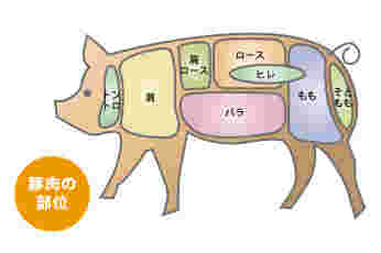 豚肉の部位別イラスト