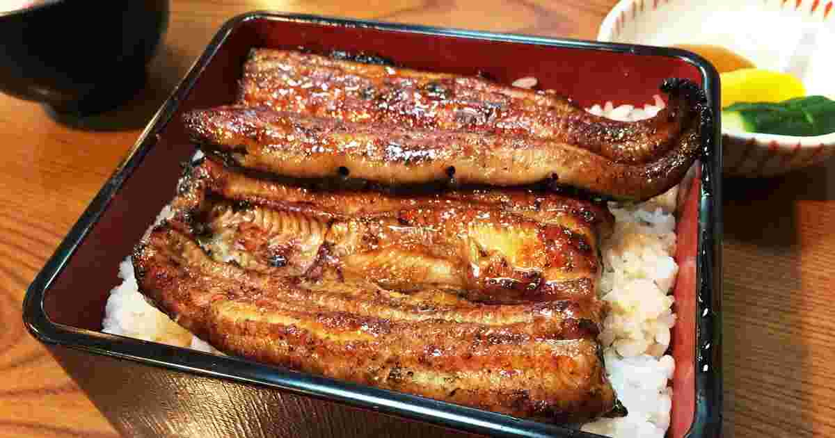 丸静うな重