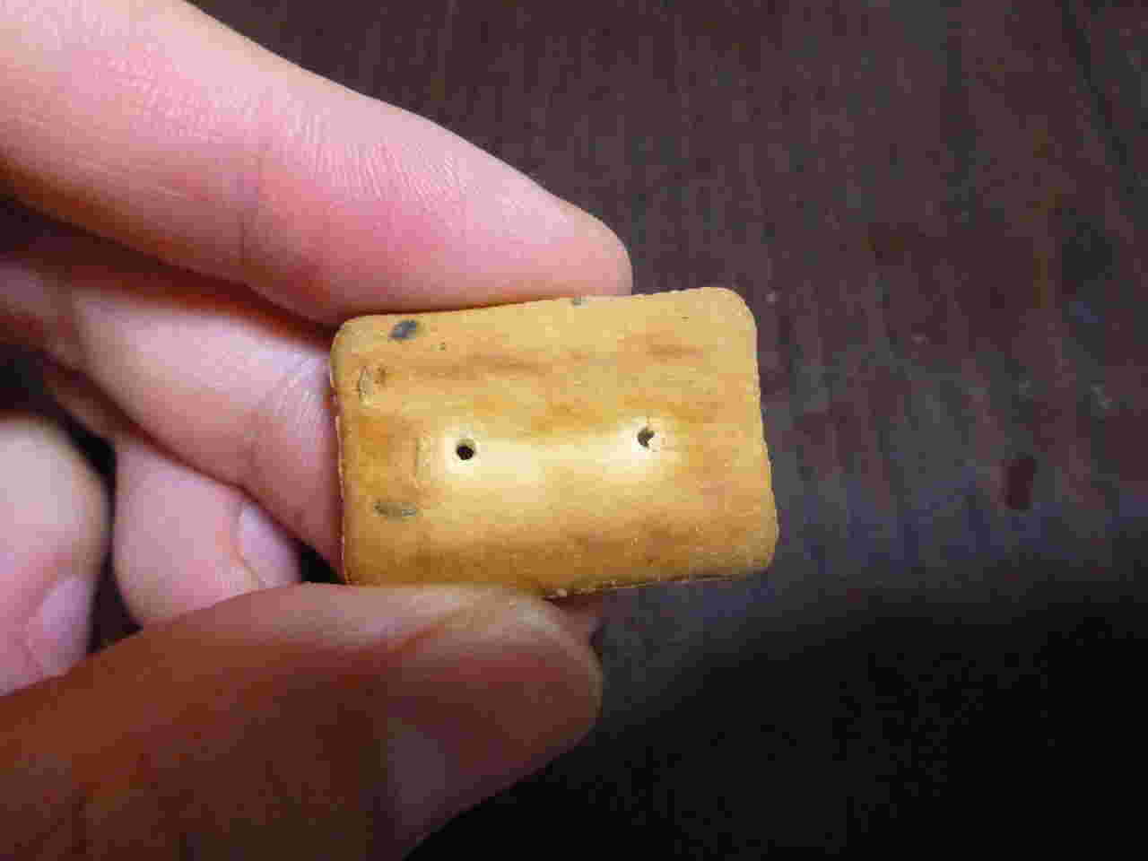 乾パンをつまむ