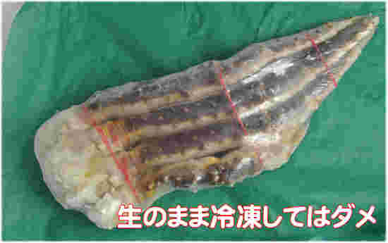 冷凍されているカニの足