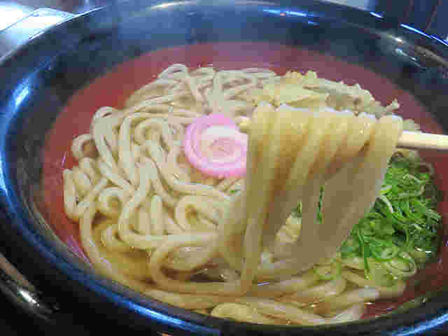 中世博多うどん春月庵承天寺前店のうどん