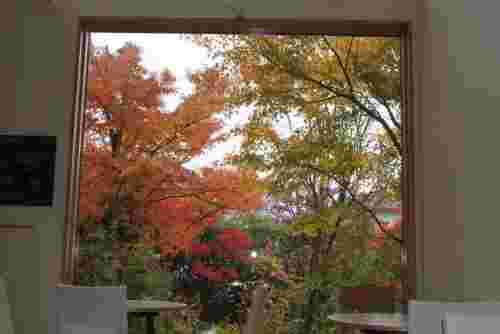 MOMI CAFEの店内
