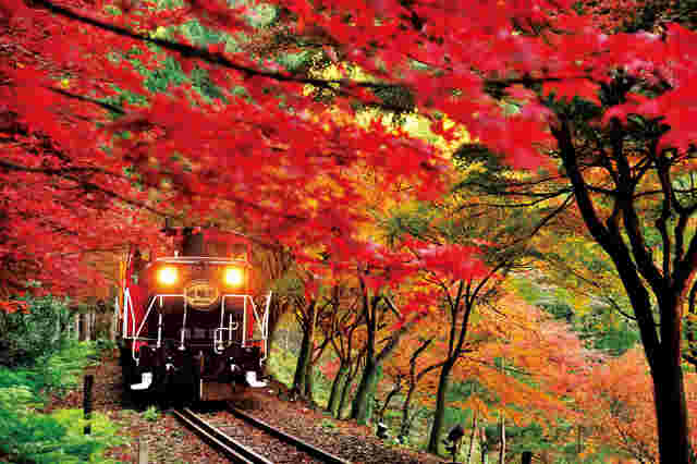 紅葉の嵐山