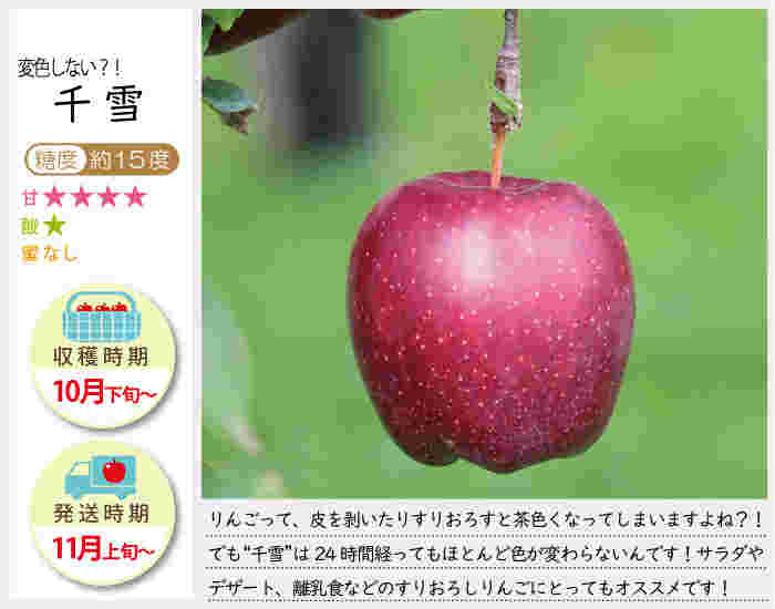 りんごの品種、千雪とその説明文
