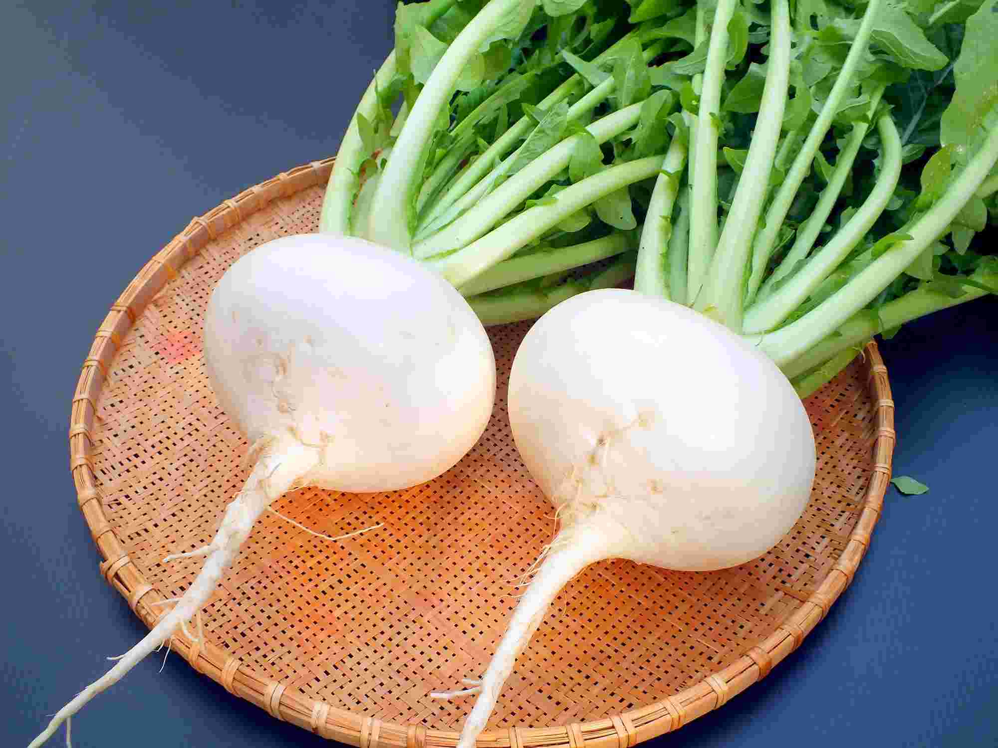 聖護院蕪