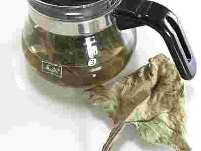 食物繊維が豊富なヤーコン茶