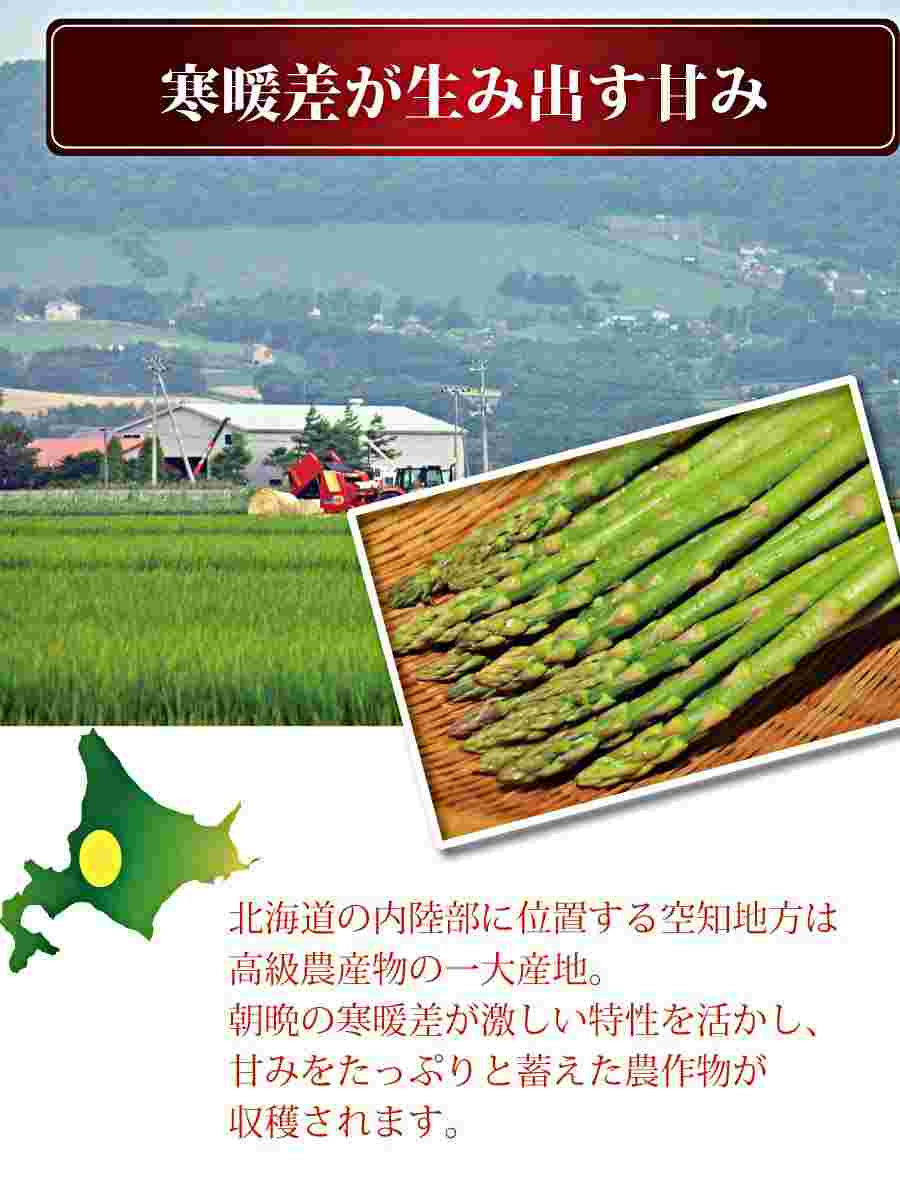 北海道のアスパラガス