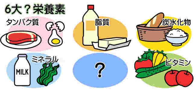 栄養のイメージ画