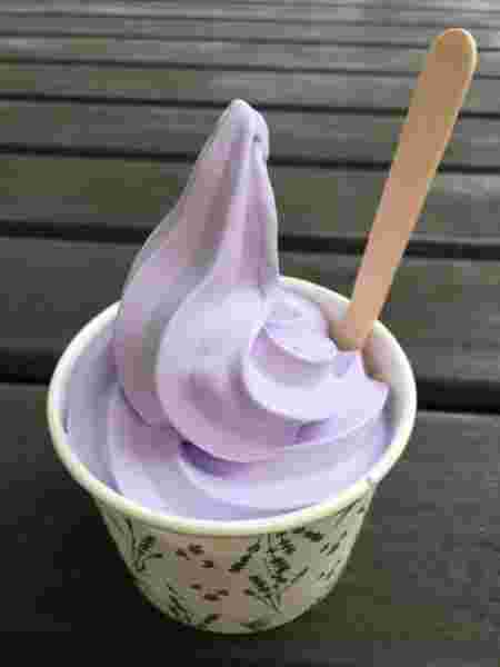 ラベンダーソフトクリーム