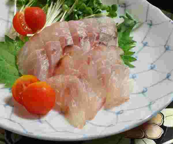 ニベの刺身