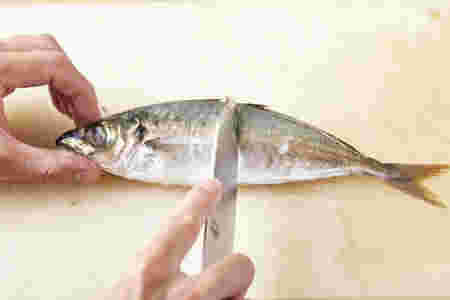 アジウロコ取り