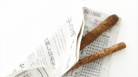新聞紙に包んで新ごぼうを保存