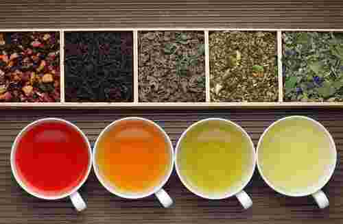 紅茶、緑茶、烏龍茶は同じ茶葉から作られています