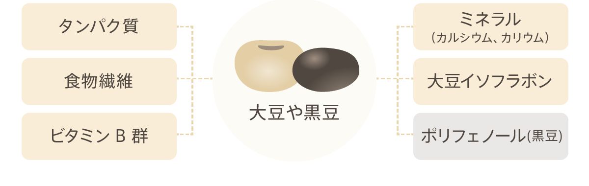 大豆の栄養素