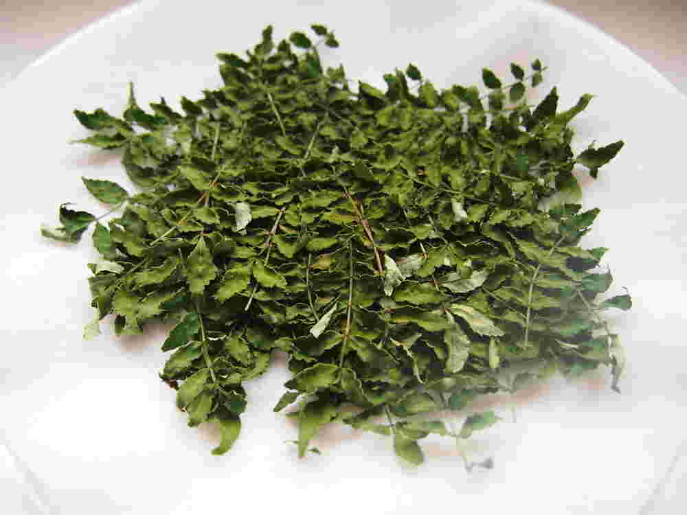 レンジで乾燥させた山椒の葉