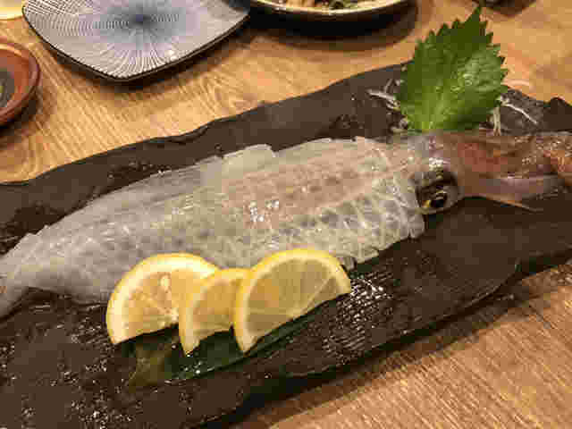 ヤリイカの活き造り