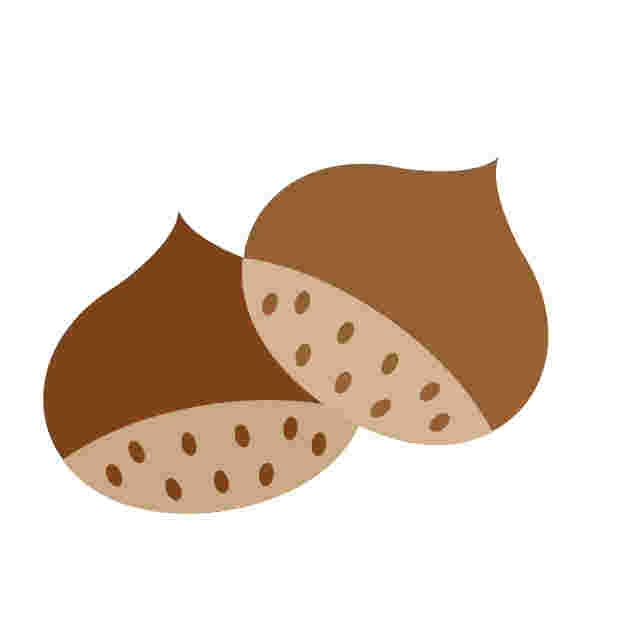 栗のイラスト
