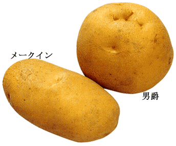 男爵いもとメークイン