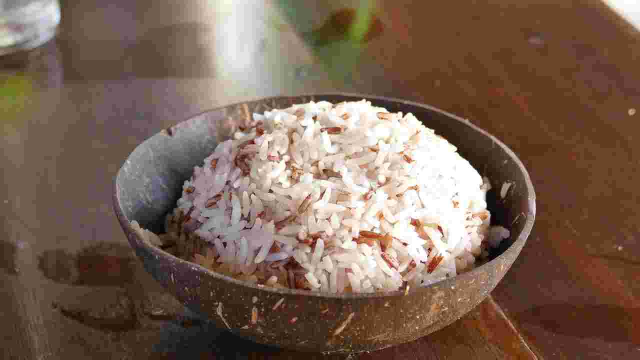 茶碗によそったもち麦ごはん