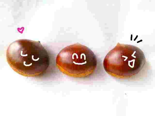 栗の顔のイラストを入れたもの
