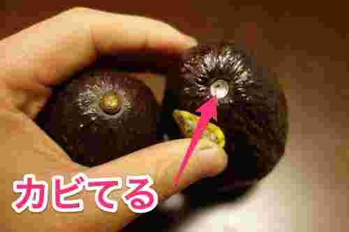 ヘタが取れている