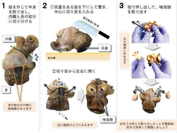 唾液腺の取り除き方