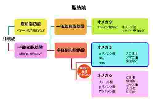 脂肪酸の分布図