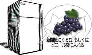 ぶどうの保存方法