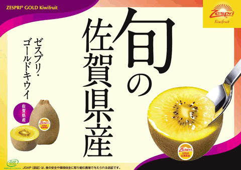 佐賀産ゼスプリゴールドキウイ