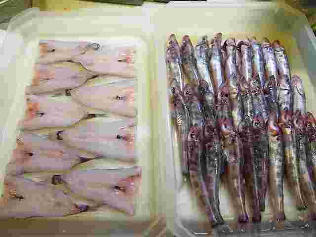 開いたメヒカリと、下処理をすませたメヒカリ